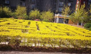 鲅鱼圈二手房信息